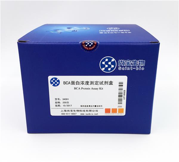 BCA蛋白濃度測(cè)定試劑盒