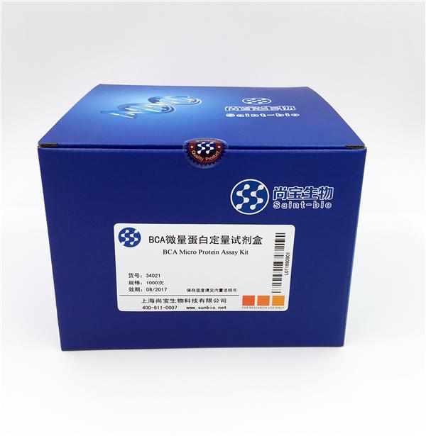 BCA微量蛋白定量試劑盒