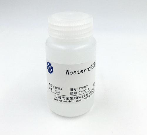 Western 洗滌液