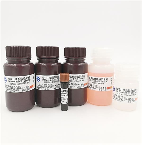 腺苷三磷酸酶染色液（ATPase染色液，鈣鈷法）