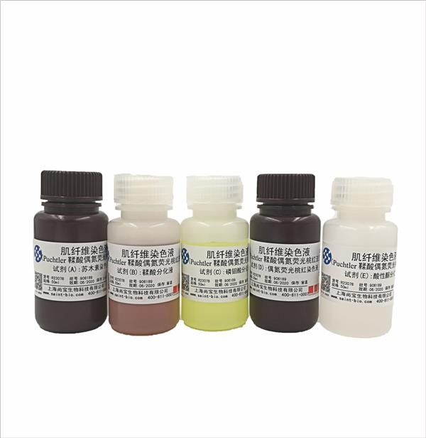 肌纖維染色液（Puchtler鞣酸偶氮熒光桃紅法）